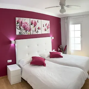 https://el-sueo-ocean-lanzamar.puertodelcarmen-hotels.org